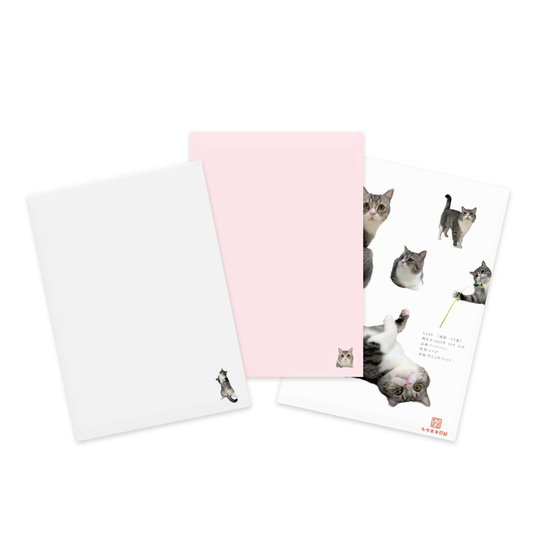 もち様クリアファイル 3枚セット – mitsugu