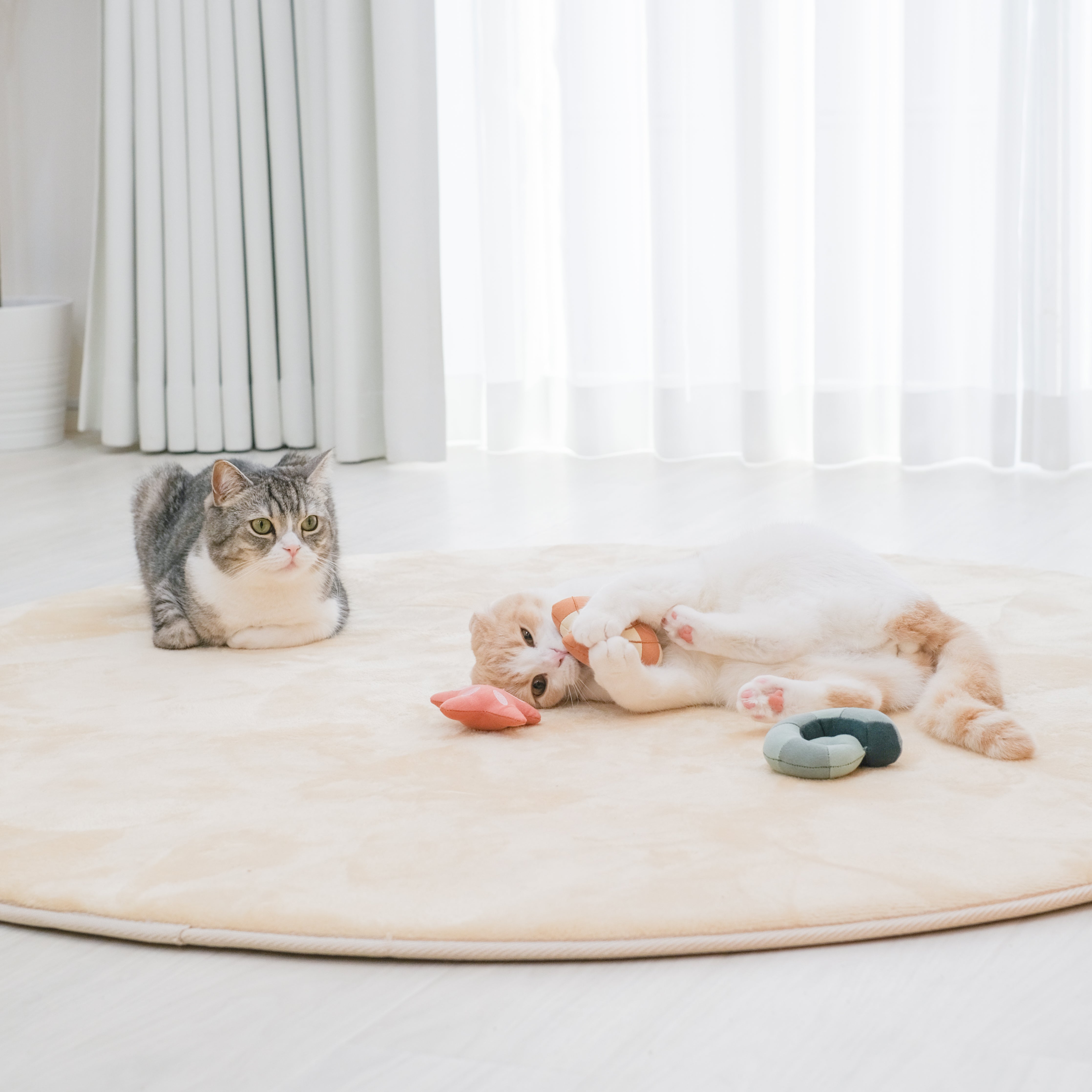 トン様　オーダーリクエストページ Amazon.co.jp: 貢(mitsugu) 猫用おもちゃ もちまる日記 とん様